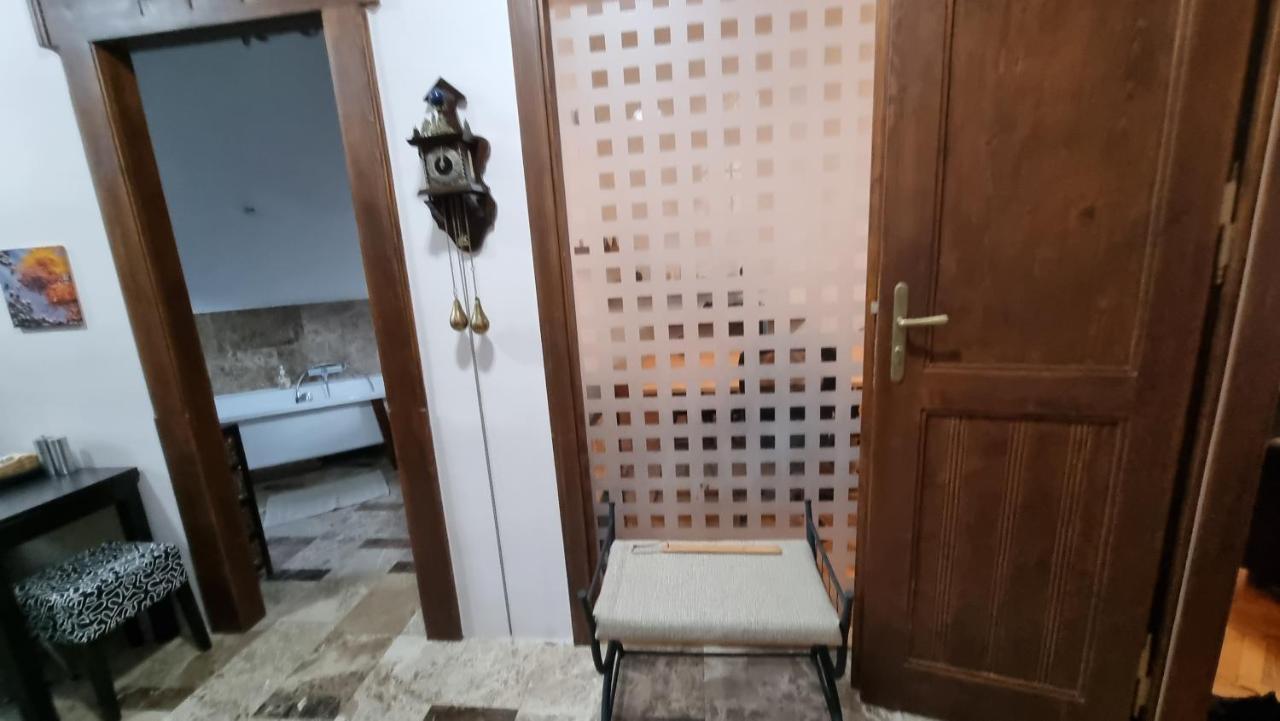Neuhausz Suite - Ultracentral Тімішоара Екстер'єр фото